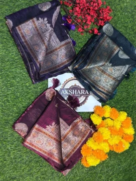 Premium Organza Tissue Saree